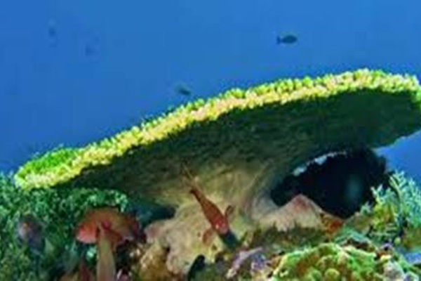 KOMODO TOUR PACKAGE